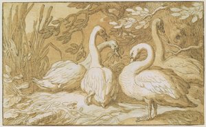白鳥のグループ（ペンとウォッシュ、紙のボディカラー） 作： Abraham Bloemaert